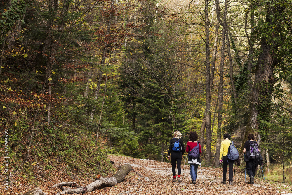 Four women taking a walk in the woods Four women taking a walk in the woods