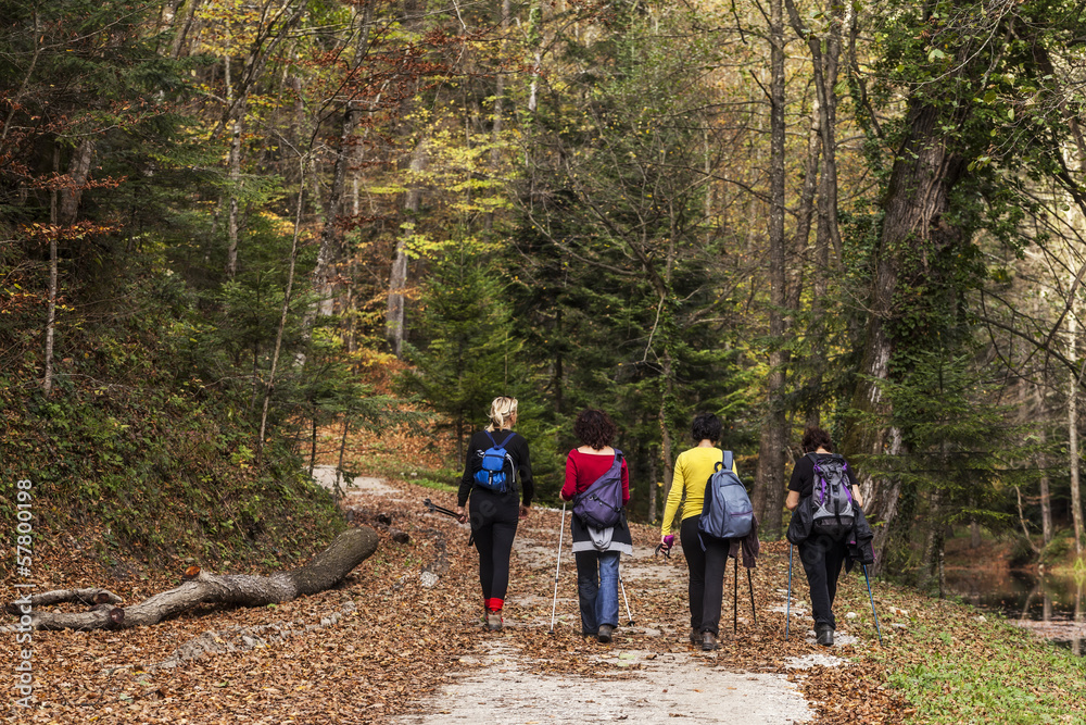 Four women taking a walk in the woods