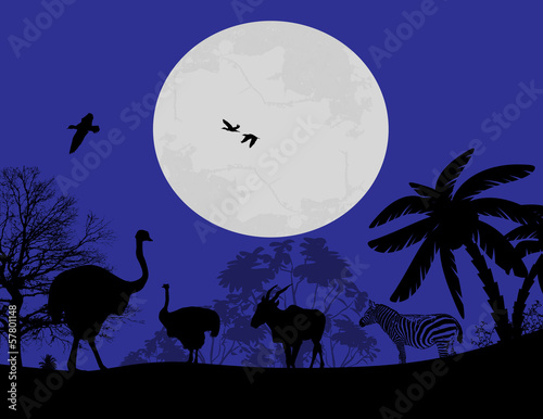 Silhouette of wild animals photo