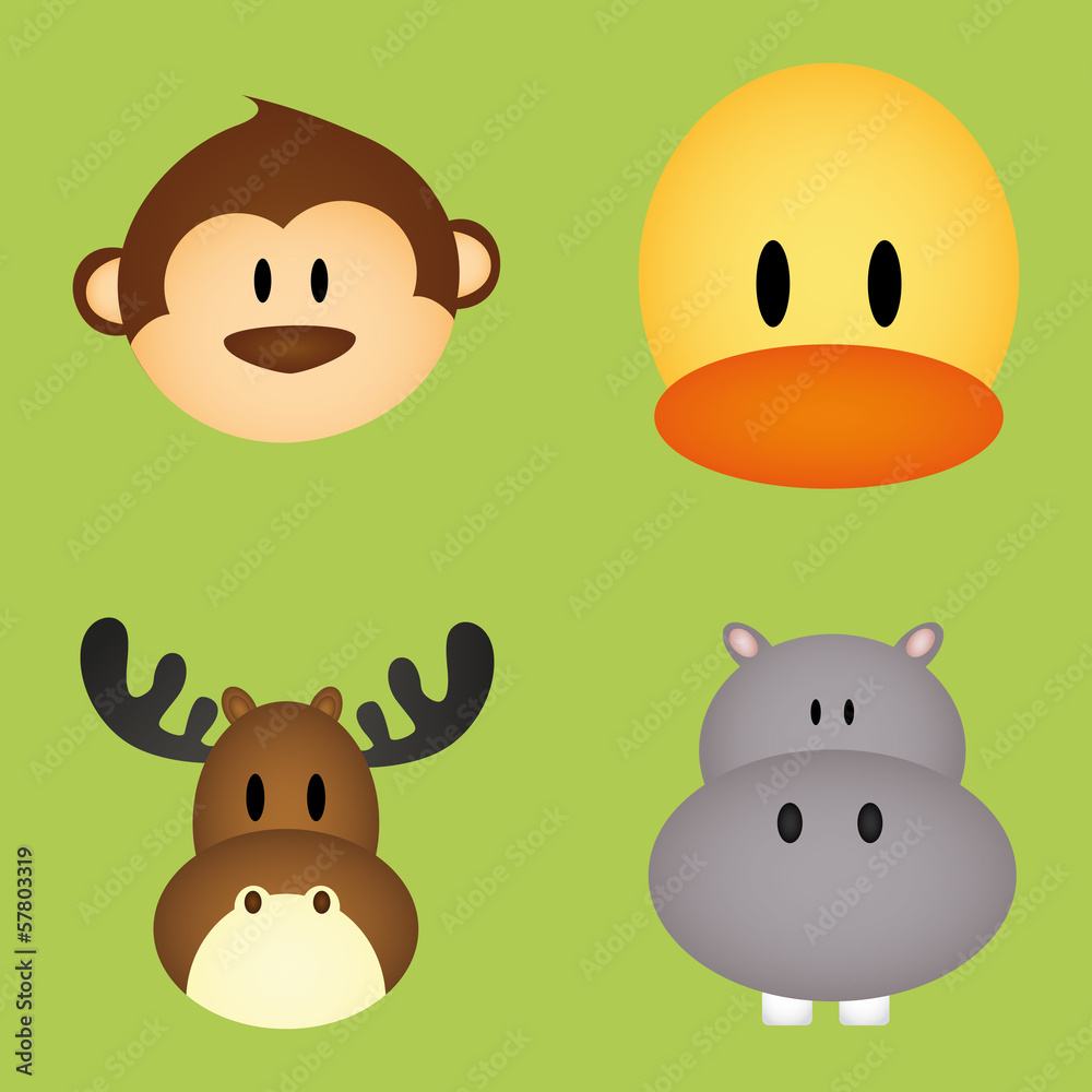 animals face animals face