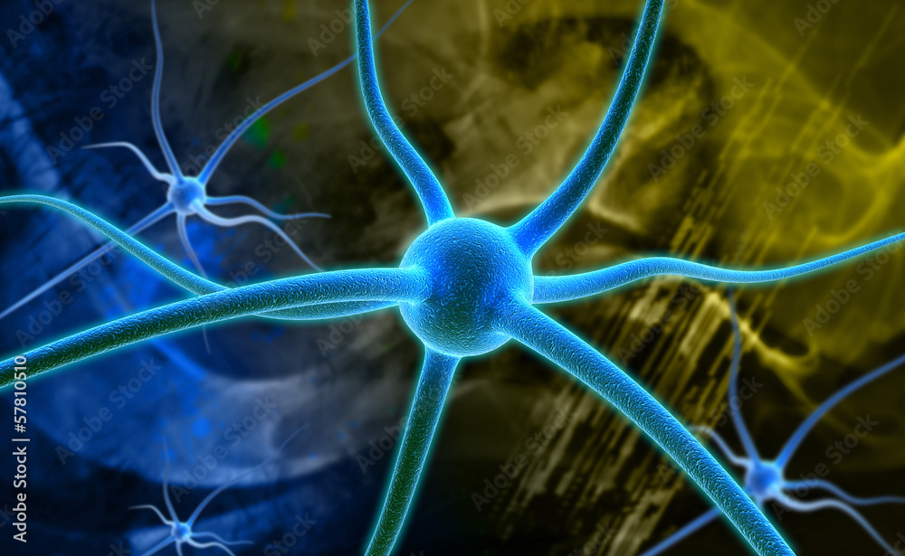 neuron neuron