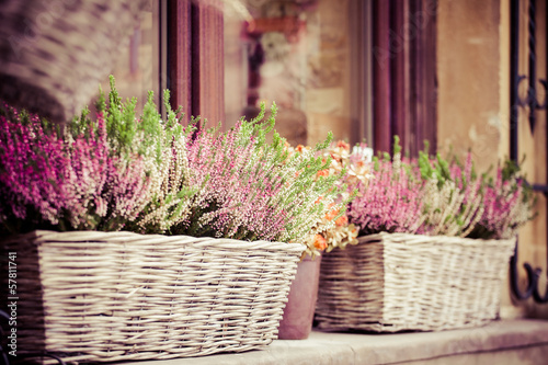 Pink and purple heather in decorative flower pot #57811741