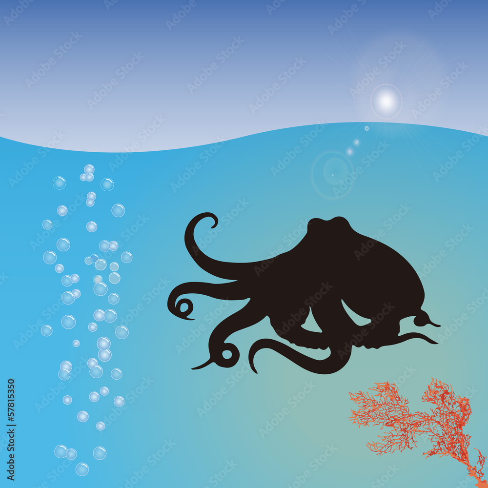 PULPO