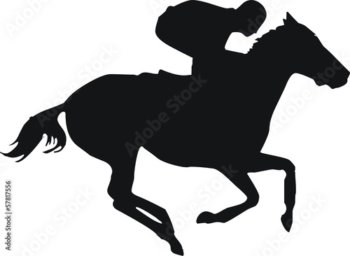 course cheval