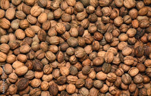 walnut