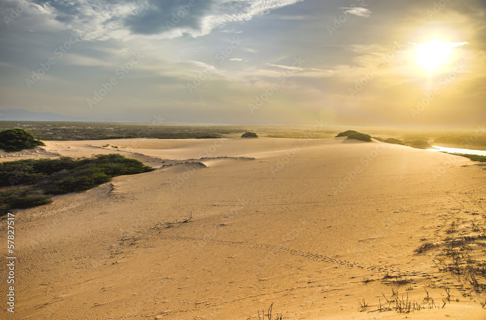 Sand Dune and Sunlight