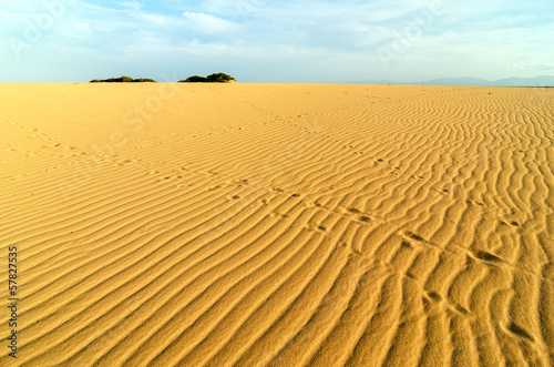 Sand Ripples and Footprints