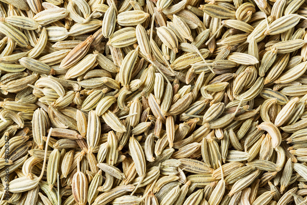 Fennel seed