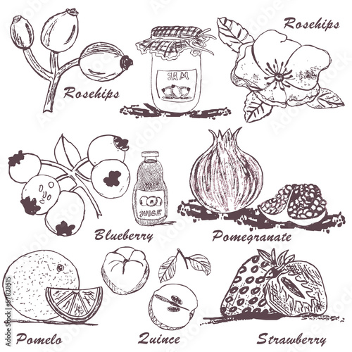 fruit sketch 4