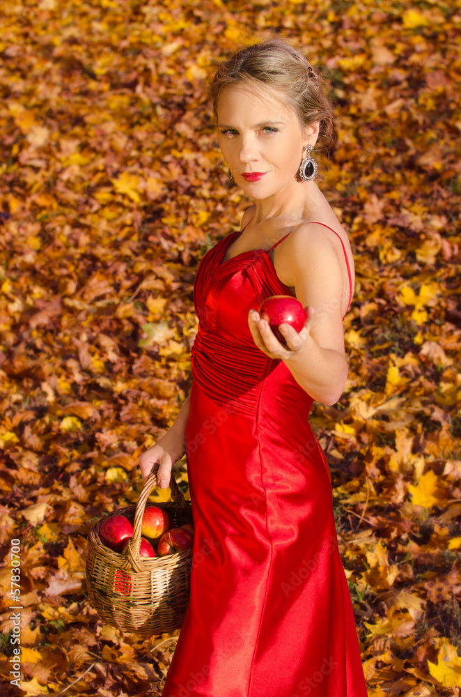 Autumn portrait of young pretty woman with basket of apples Autumn portrait of young pretty woman with basket of apples