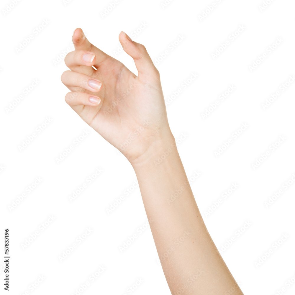 Beautiful woman hand holding isolated on white background Beautiful woman hand holding isolated on white background