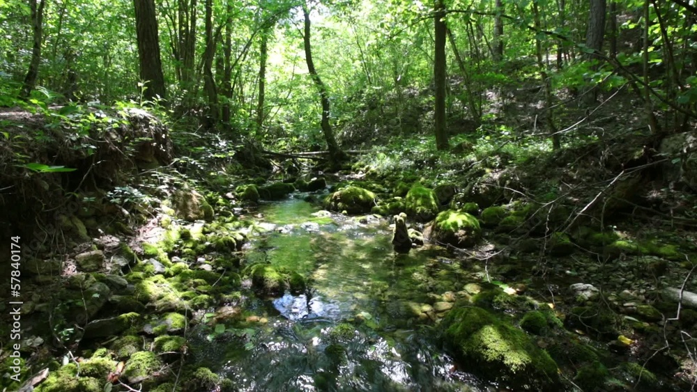 forest creek and rocks covered with moss forest creek and rocks covered with moss