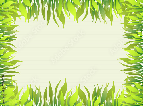 green grass photo frame