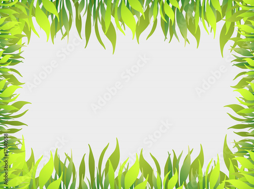 green grass photo frame
