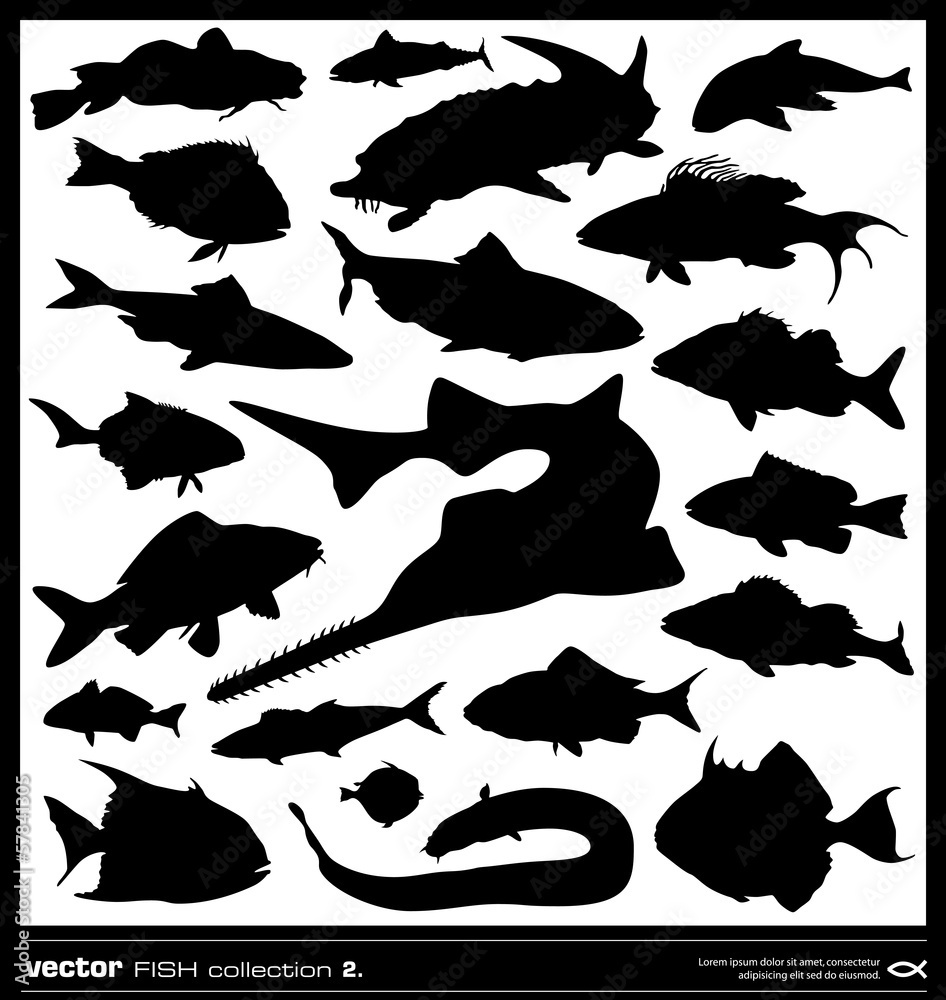 Set of fish silhouette. Vector. Stock Vector | Adobe Stock