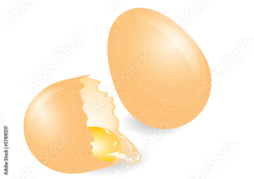 broken egg
