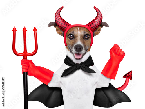 Obraz na płótnie devil dog