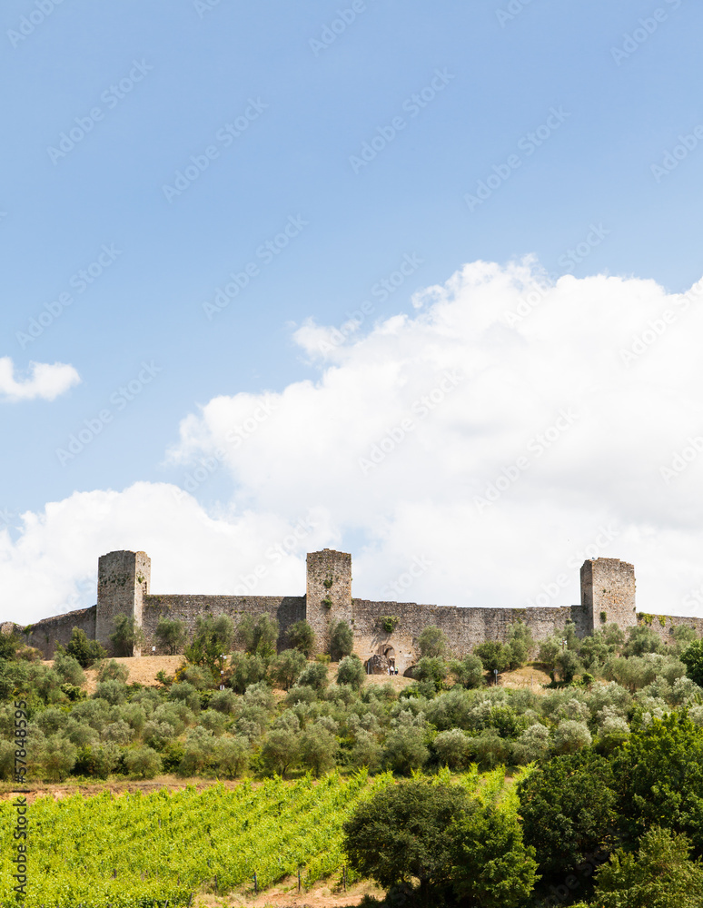 Wineyard in Tuscany