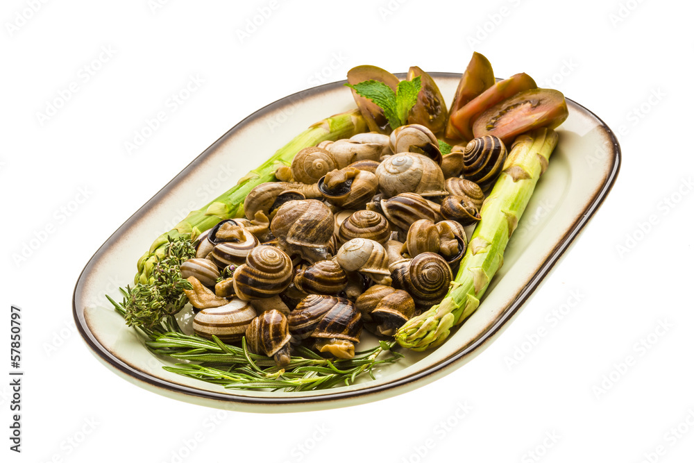 Escargot with asparagus, rosemary, thymus and tomato