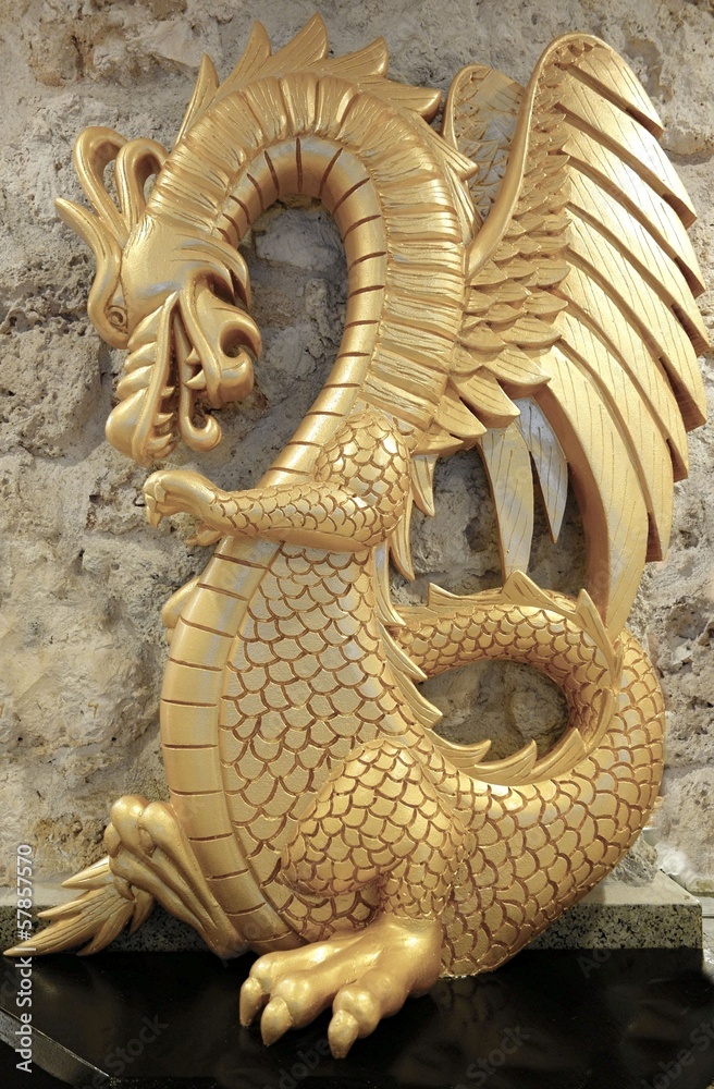 Fototapeta premium asian dragon