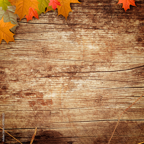 Obraz na plátně wooden background with the leafs