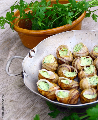 Quadro em tela escargots de bourgogne farcis