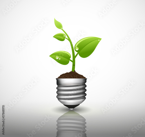Bulb with green sprout