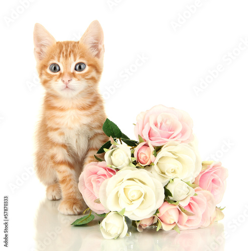 Cute little red kitten with roses isolated on white © Africa Studio