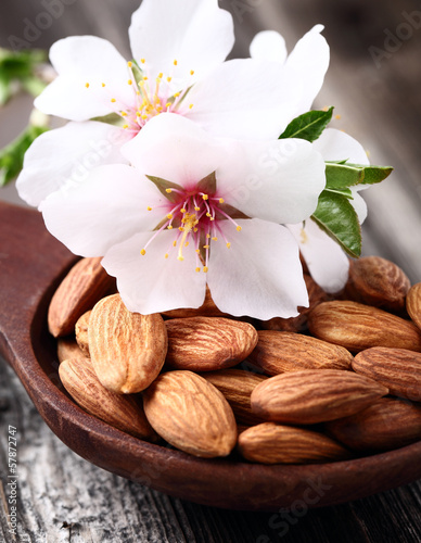Almonds kernels with flowers