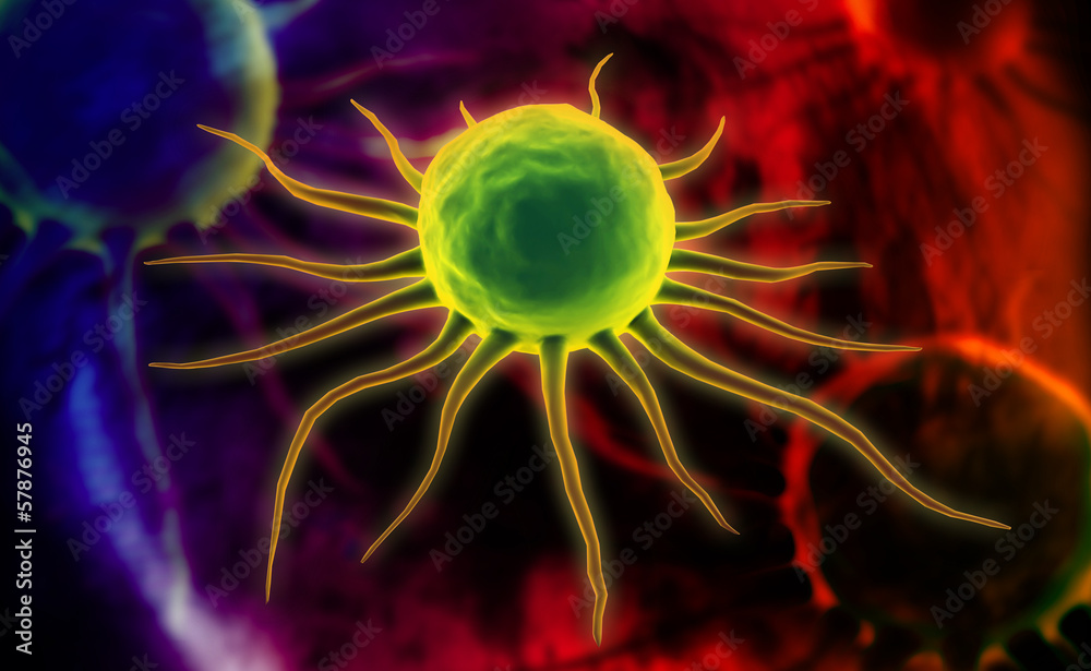 stem cell stem cell