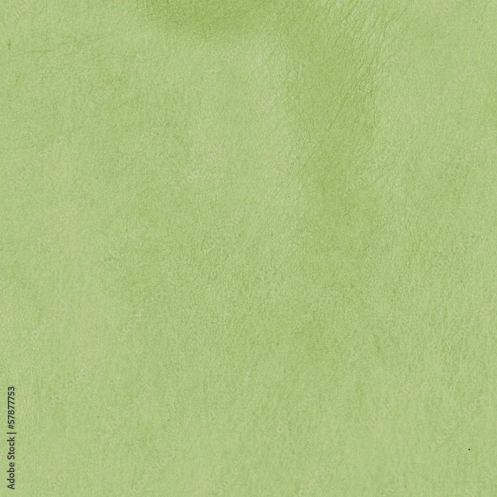 Obraz premium green leather texture