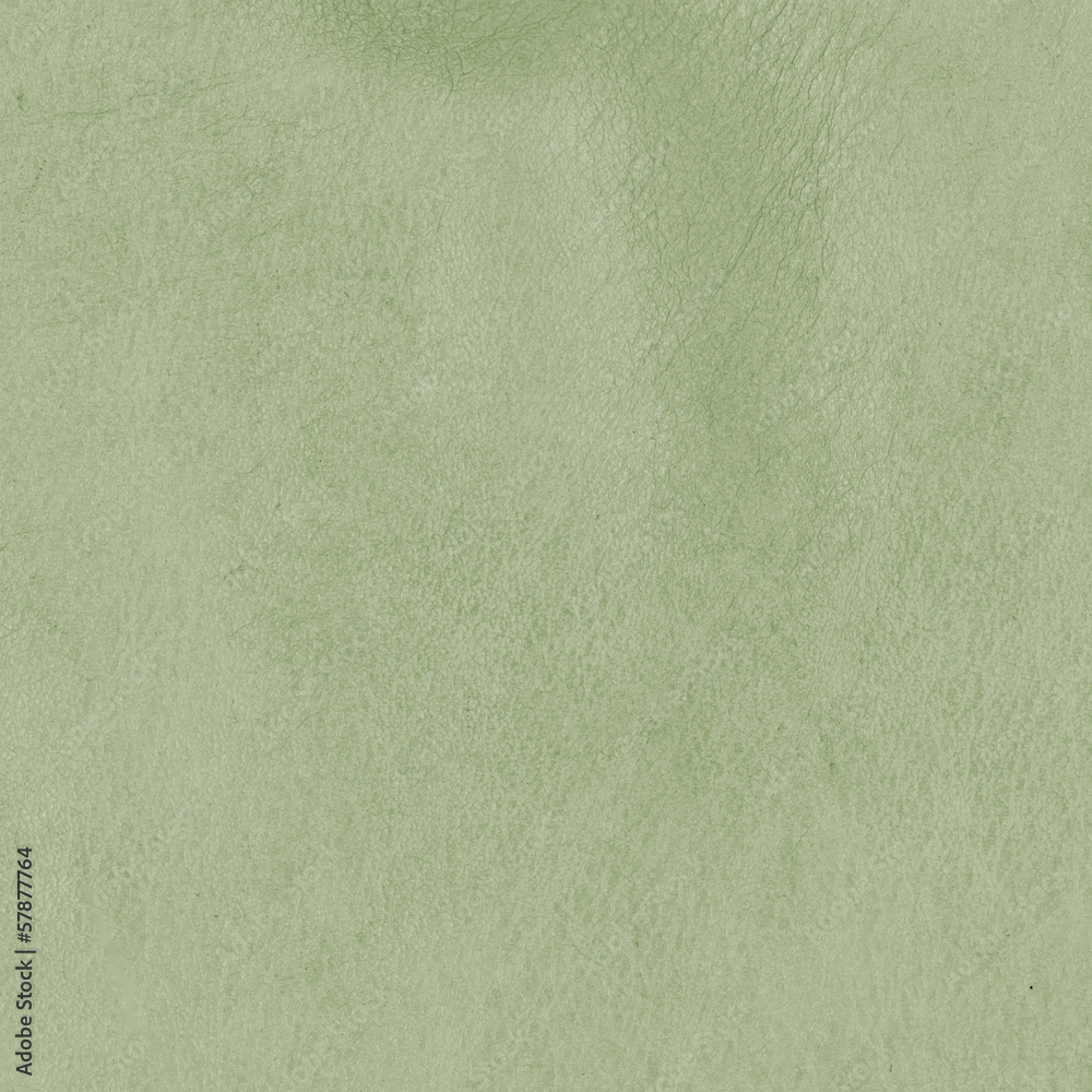 Fototapeta premium green leather texture