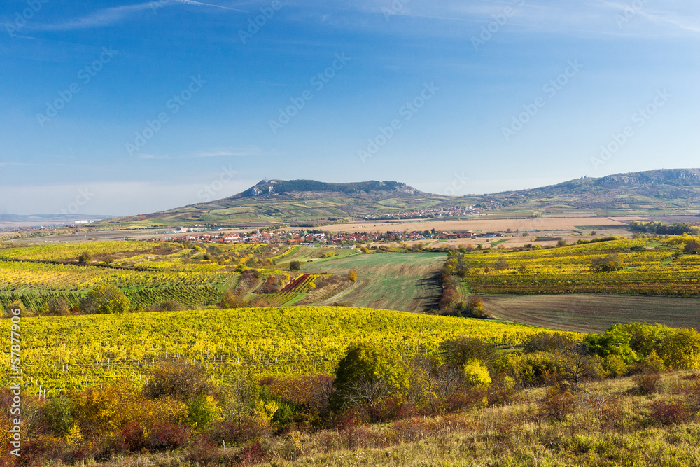 Amazing autumn landscape with vineyards