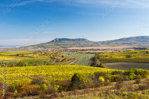 Amazing autumn landscape with vineyards