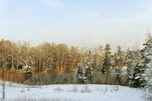 Winter landscape. © Ludmila Smite