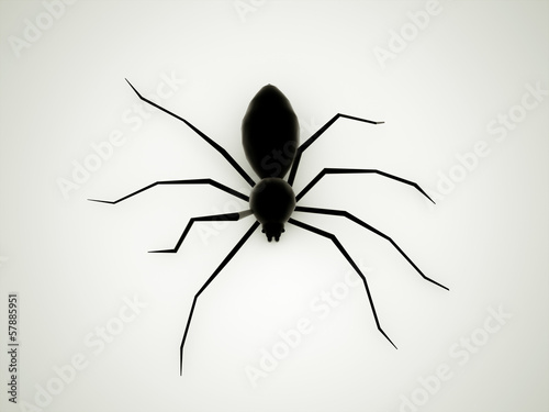 Spider black rendered