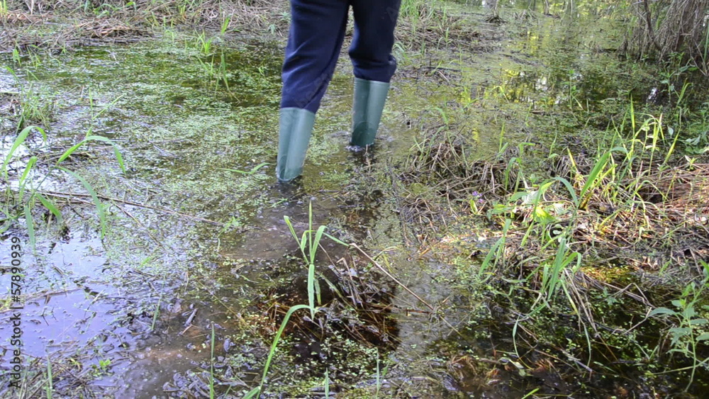man goes through slimy swamp with rubber boots man goes through slimy swamp with rubber boots