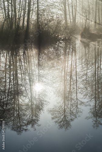 Trees Reflected in Still, Misty Lake. photo