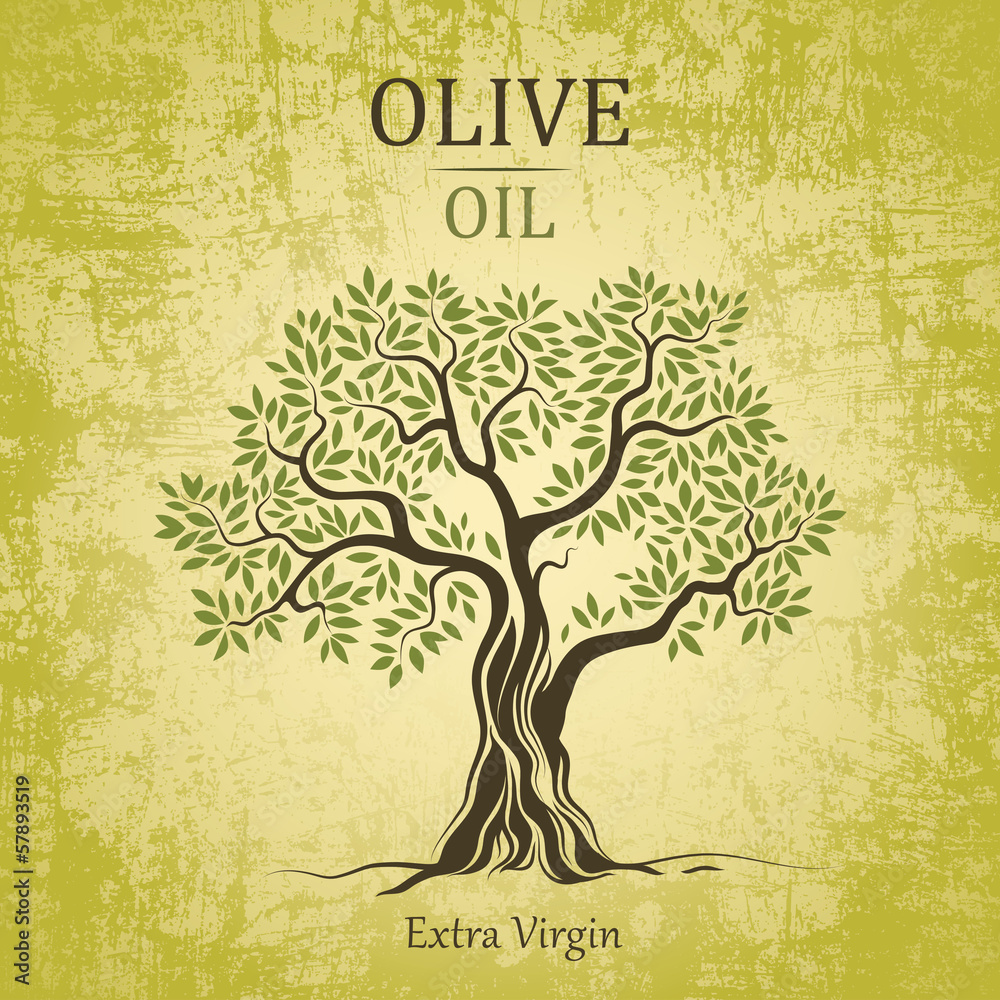 olive tree. Olive oil.Vector  olive tree. For labels, pack. - obrazy, fototapety, plakaty 