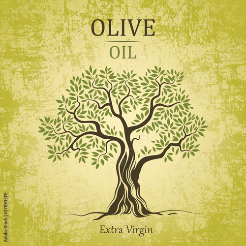 olive tree. Olive oil.Vector  olive tree. For labels, pack.