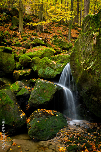 Beautiful brook in autumn colored forest