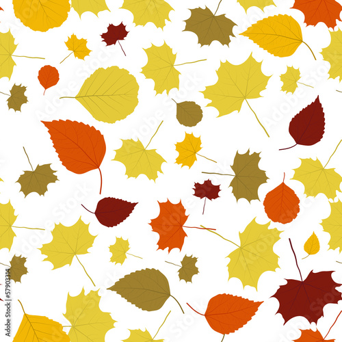 The abstract fall background