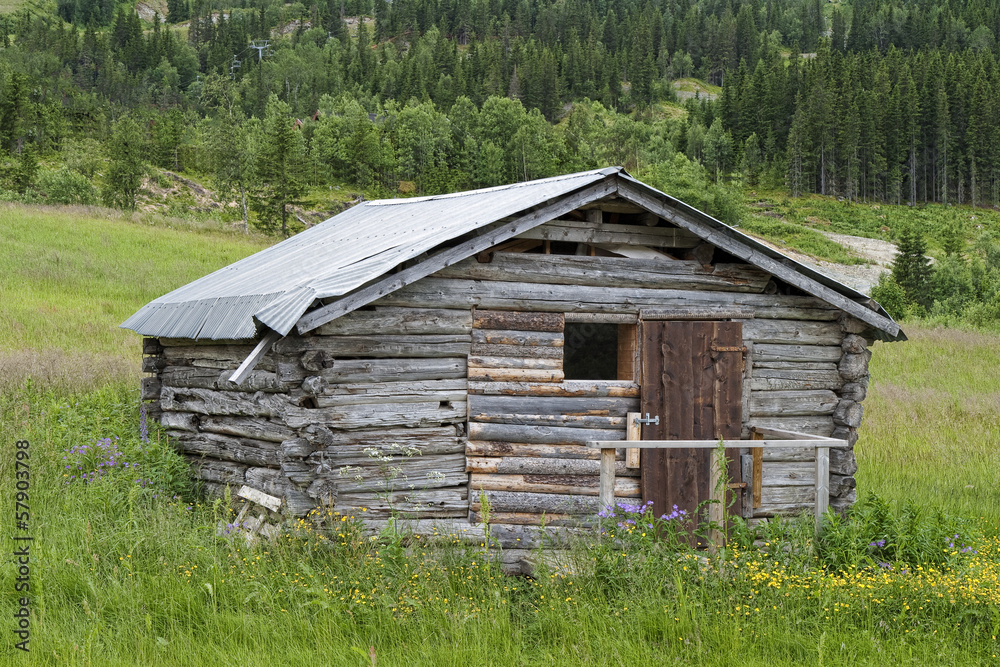 Old Shack in the Mountain Old Shack in the Mountain