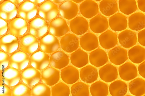 plaster pszczeli