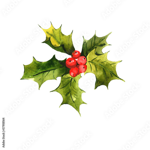 Christmas Holly Watercolor background
