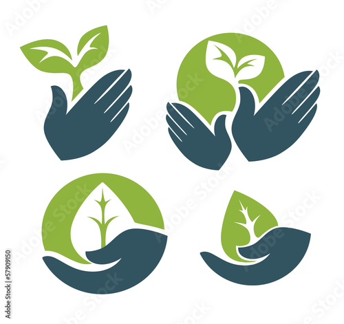 human's hands and green growing plants