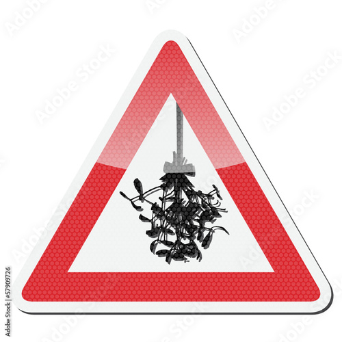 Schild Mistelzweig