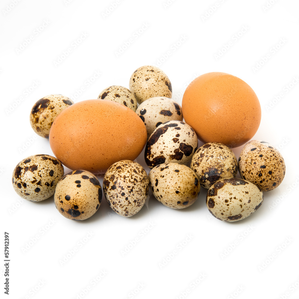uova di gallina e di quaglia uova di gallina e di quaglia