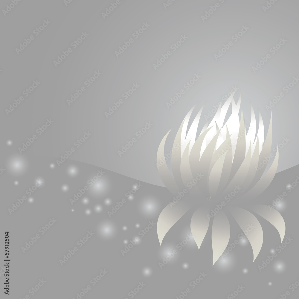 Fairy glow lotus card