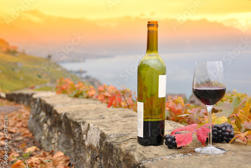 Fototapeta Naklejka Na Ścianę i Meble -  Red wine and grapes. Terrace vineyards in Lavaux region, Switzer